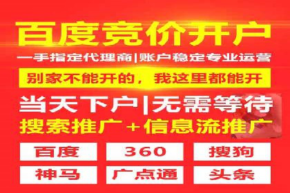 某品牌SEM广告投放案例：如何提高转化率